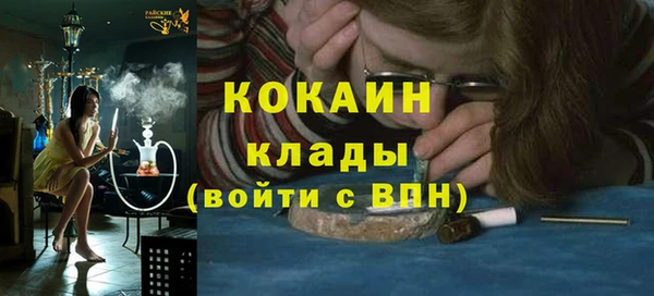стаф Аркадак