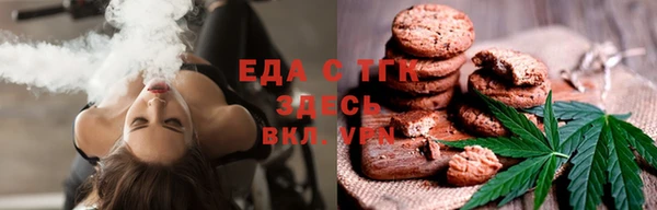 стаф Аркадак
