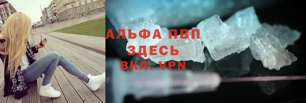 сатива Арсеньев