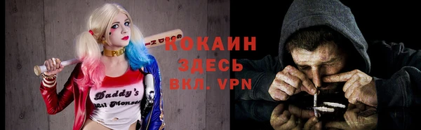 стаф Аркадак