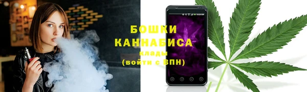 сатива Арсеньев