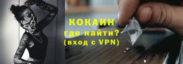 стаф Аркадак