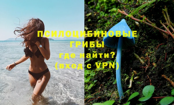 трава Армянск