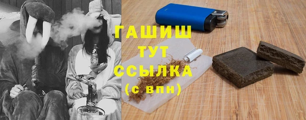 стаф Аркадак