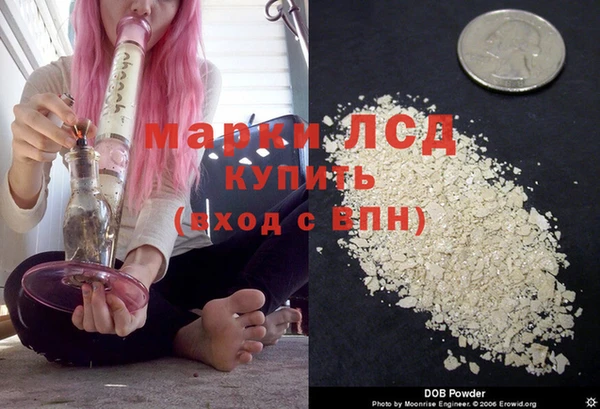 сатива Арсеньев