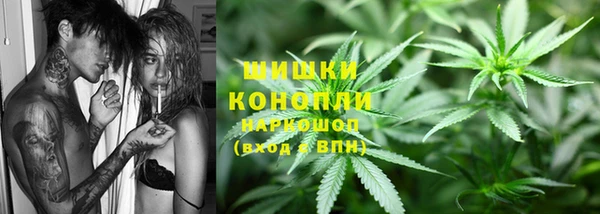 стаф Аркадак