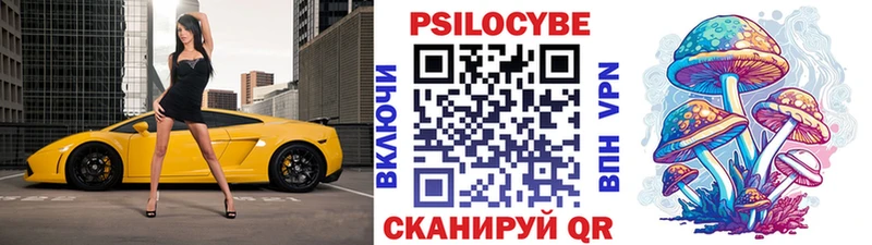 даркнет Telegram  Меленки  Псилоцибиновые грибы мицелий 